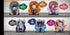 Re-ment My Hero Academia Wall Art Collection Heroes & Villains Figures