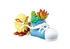 Re-ment Pokemon Pocket Botanical Series
