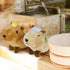 AMUSE Nohohon Capybara Kapibara-chan Chapi-chan Yuzu Plush Keychain