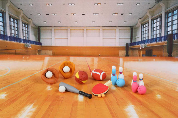 Iwako Sports Single Puzzle Eraser